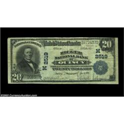 Quincy, IL - $20 1902 Plain Back Fr. 659 The Ricker NB Ch. # 2519A nice large example from this priv