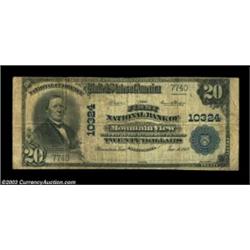 Mountain View, CA - $20 1902 Plain Back Fr. 655 The First NB Ch. # 10324A very hard to find Santa Cl