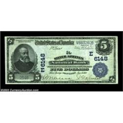 Silver Springs, NY - $5 1902 Plain Back Fr. 598 The Silver Springs NB Ch. # (E)6148An attractive lar