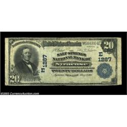 Syracuse, NY - $20 1902 Plain Back Fr. 650 The Salt Springs NB Ch. # (E)1287Large notes only from th