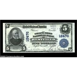 Westfield, NY - $5 1902 Plain Back Fr. 609 The Grape Belt NB Ch. # 12476A magnificent note with a un
