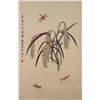 Image 1 : [CHINESE] A "MEI LAN FANG"SEALED CHINESE PAINTING L:26" W:13"