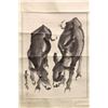 Image 1 : [CHINESE] A "HUANG ZHOU"SEALED CHINESE PAINTING SCROLL OF DONKEY L:23" W:18"