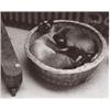 Image 1 : ANDRÉ KERTÉSZ, (American, b. Hungary, 1894-1985), PARIS, signed "A. Kertész" and titled "Paris", ...