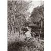 Image 1 : ALBERT RENGER-PATZSCH, (German, 1897-1966), ALTRHEIN BEI SASBACH IN BADEN, inscribed, dated and s...