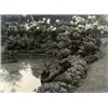 Image 1 : MARGARET BOURKE-WHITE, (American, 1904-1971), UNTITLED, signed "Bourke-White", in pencil below im...