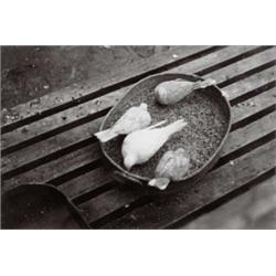 ROGER PARRY, (French, 1905-1977), UNTITLED (PIGEONS), "PARRY - PHOTOS" stamp on verso, gelatin si...