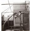 Image 1 : ROGER PARRY, (French, 1905-1977), UNTITLED (CAT), "PARRY - PHOTOS" stamp on verso, gelatin silver...