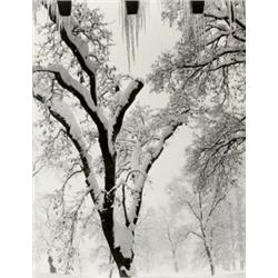 ANSEL ADAMS, (American, 1902-1984), AHWAHNEE HOTEL, YOSEMITE, gelatin silver print, mounted on bo...