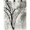 Image 1 : ANSEL ADAMS, (American, 1902-1984), AHWAHNEE HOTEL, YOSEMITE, gelatin silver print, mounted on bo...