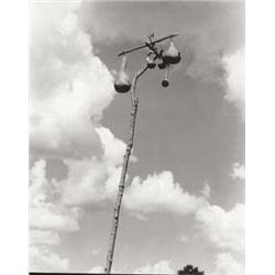 WALKER EVANS, (American, 1903-1975), GOURD-NESTS FOR THE MARTINS,, HALE COUNTY, ALABAMA, artist's...