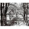 Image 1 : ANDRÉ KERTÉSZ, (American, b. Hungary, 1894-1985), TUILERIES IN THE AFTERNOON, PARIS, signed "A. K...