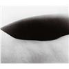 Image 1 : BILL BRANDT, (British, b. Germany, 1904-1983), UNTITLED, stamped "BILL BRANDT", in black ink on v...