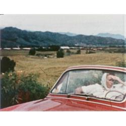 LARRY SULTAN, (American, b. 1946), UNTITLED, chromogenic color print, flush-mounted on board, 167...