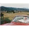 Image 1 : LARRY SULTAN, (American, b. 1946), UNTITLED, chromogenic color print, flush-mounted on board, 167...