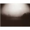 Image 1 : SALLY MANN, (American, b. 1951), UNTITLED (VIRGINIA #7), FROM MOTHER LAND, signed, dated and edit...