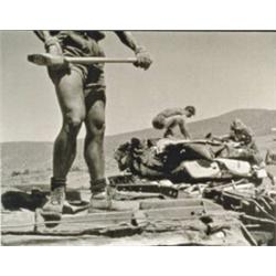 TRACEY MOFFATT, (Australian, b. 1960), UP IN THE SKY, portfolio of 25 photolithographs, each: 243...