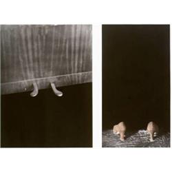 LORNA SIMPSON, (American, b. 1960), UNTITLED, text below image reads: "What should fit here is an...