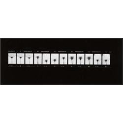 ABE FRAjNDLICH, (German, b. 1946), UNTITLED (NEW YORK CITY,, FROM EROS ETERNA), inscribed, dated ...