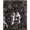 Image 1 : VIK MUNIZ, (Brazilian, b. 1961), MONSTER (PICTURES OF INK), titled, signed, dated and editioned "...