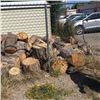 Image 2 : NEW MEXICO HIGHLANDS PINE FIREWOOD, APPROXIMATELY 3 CORDS LOCATION: BEHIND TEACHER EDUCATION CENTER,