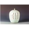 Image 2 : A CHINESE QIAN JIANG PORCELAIN VASE