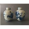 Image 1 : A PAIR OF CHINESE BLUE AND WHITE PORCELAIN JARS