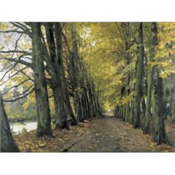 BEUKENDREEF IN DE HERFST...