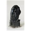 Image 1 : WINDHOND...