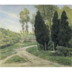 LANDWEG IN DE ZOMER...