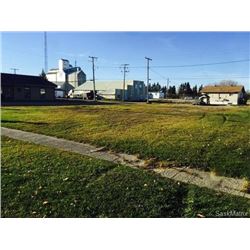 305 Belamy Ave Birch Hills, SK