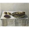 Image 1 : STILLEVEN...