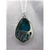 Image 1 : Native Bear Paw print pendant & chain