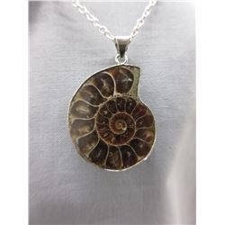 Ammonite Necklace & Pendant Set