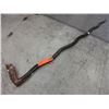 Image 1 : Dragon handled wood walking cane