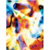 Image 1 : THOMAS RUFF (b.1958) SUBSTRAT 1I signed, titled, numbered of three and dated "Thomas Ruff 2001 Su...
