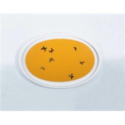 DAMIEN HIRST (b. 1965) UNTITLED yellow gloss household paint (honeycomb) and butterflies on canva...