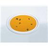 Image 1 : DAMIEN HIRST (b. 1965) UNTITLED yellow gloss household paint (honeycomb) and butterflies on canva...