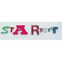 Property of Enron JACK PIERSON (b. 1960) STARDUST found metal and plastic objects with neon...