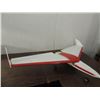 Image 3 : REMOTE CONTROL AIRPLANE 25 X 50