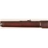 Image 9 : Winchester 1873 .22 Octagon Barrel