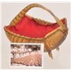Image 1 : Armadillo Basket Apelt Armadillo Co. circa 1900