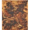 Image 8 : Sunset Soap Dyes Countertop Store Display