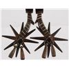 Image 3 : Mexican Sonoran Spurs