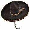 Image 3 : Old Felt Sombrero