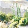 Image 3 : Occotillo & Brittle Brush by Dillie Thomas