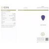 Image 5 : 14KT White Gold GIA Certified 23.12ct Tanzanite and Diamond Pendant With Chain
