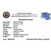 Image 2 : 15.24ctw Round Mixed Tanzanite Parcel