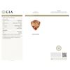 Image 4 : 14KT Rose Gold GIA Certified 42.81ct Morganite and Diamond Necklace