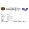 Image 2 : 19.79ctw Oval Mixed Amethyst Parcel